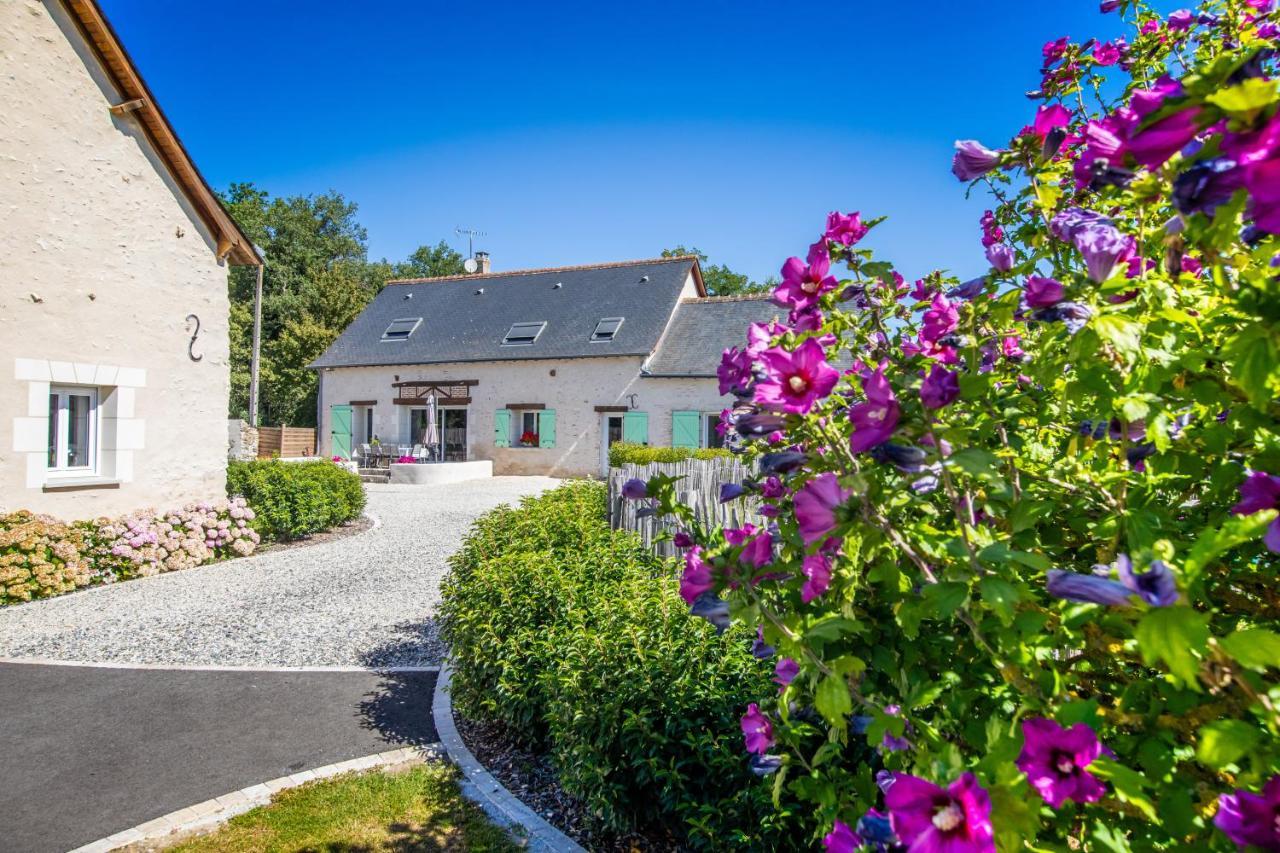 Metairie Du Villiers Bed & Breakfast Saint-Branchs ภายนอก รูปภาพ